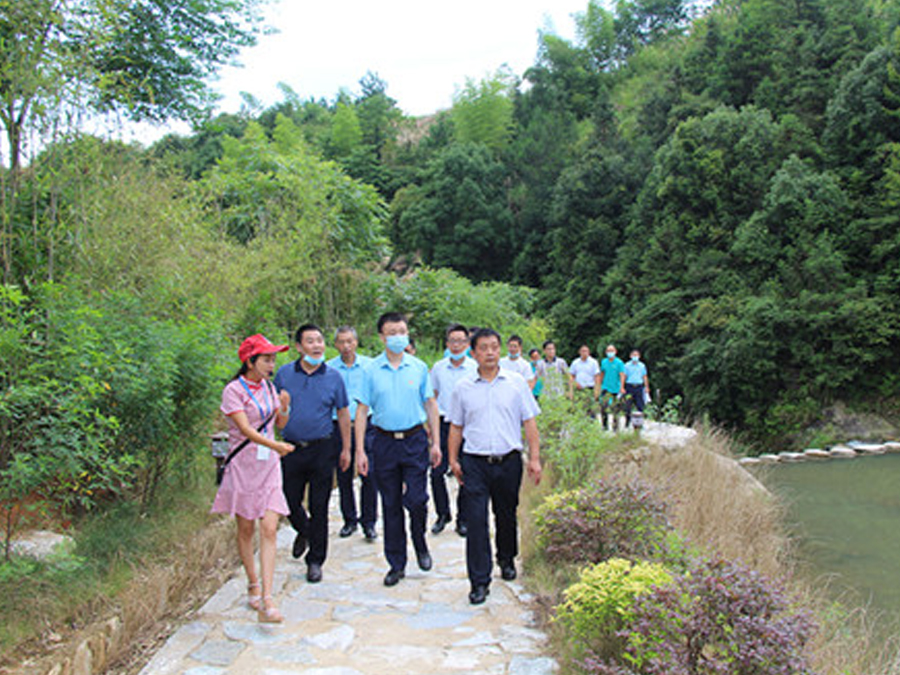 鄂旅投咸寧集團(tuán)與九宮山管委會(huì)聯(lián)合組織黨建調(diào)研活動(dòng)，助力鄉(xiāng)村振興發(fā)展